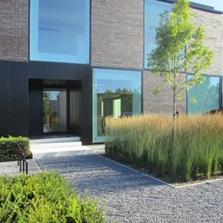 bedrijfstuin-Duffel-modern-boom-grassen